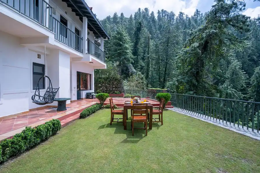 Under The Pines, Shimla