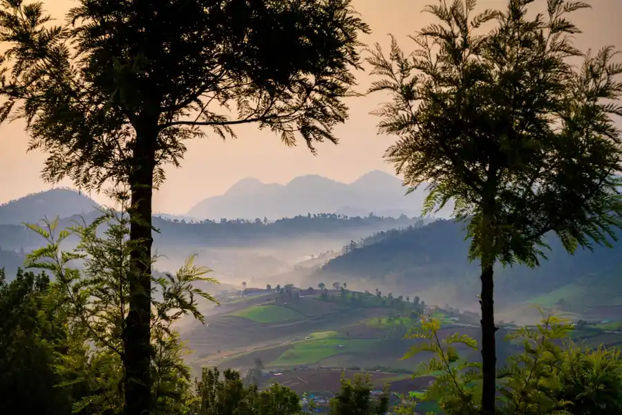 Under The Stars, Ooty