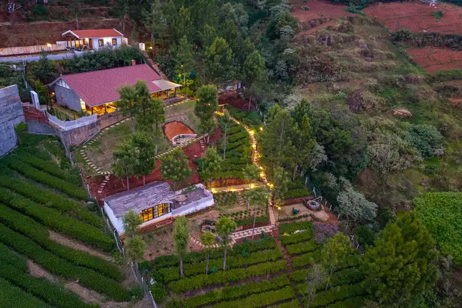 Under The Stars, Ooty