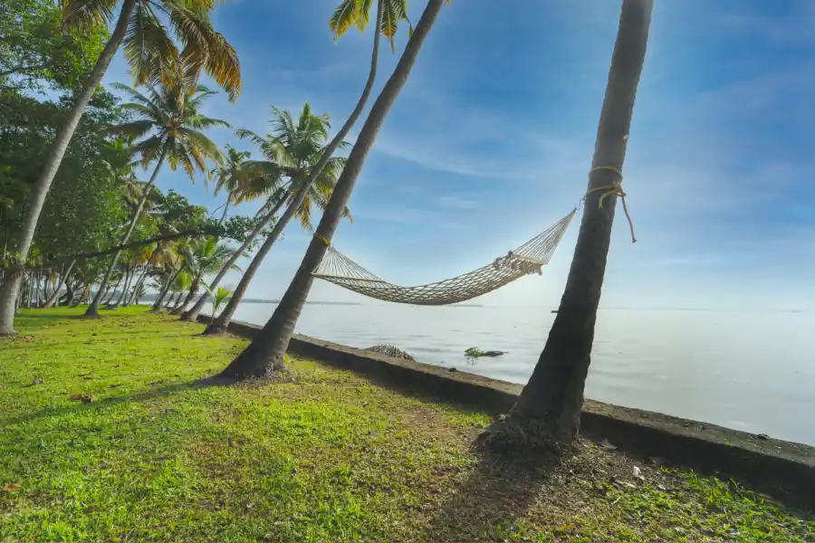 Vembanad House, Alappuzha
