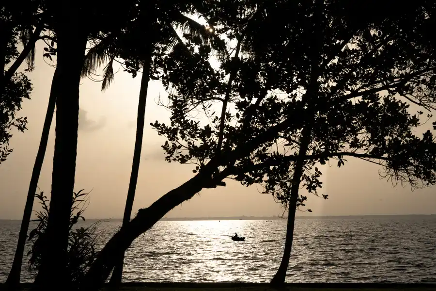 Vembanad House, Alappuzha