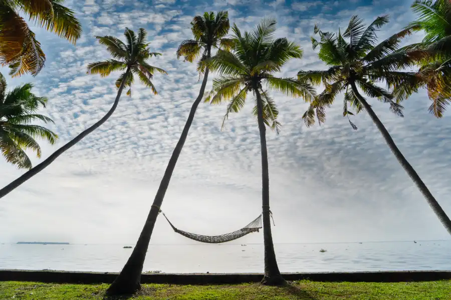 Vembanad House, Alappuzha