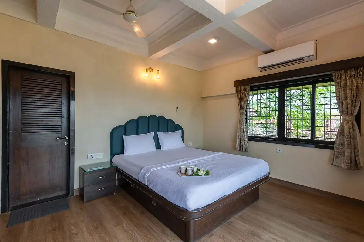 Vista Dazzle, Karjat