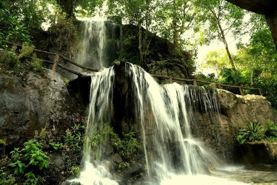 Vythiri Village Experiences