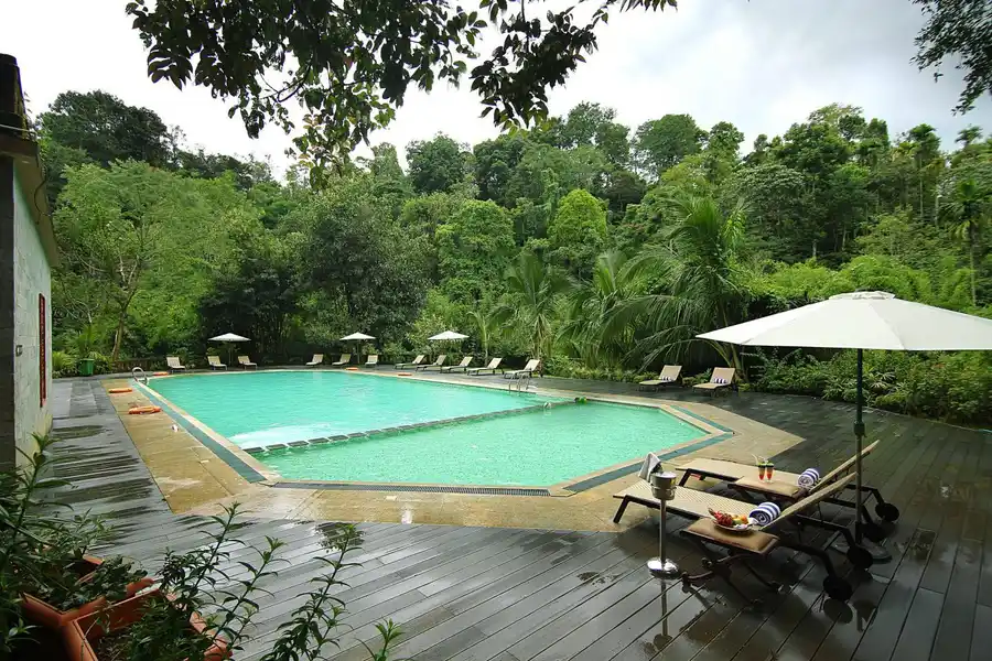 Vythiri Village Swimming Pool