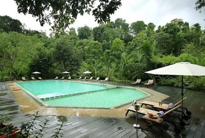 Vythiri Village Swimming Pool