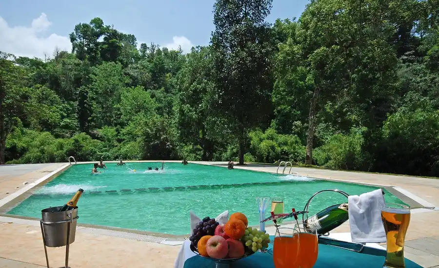 Vythiri Village Swimming Pool