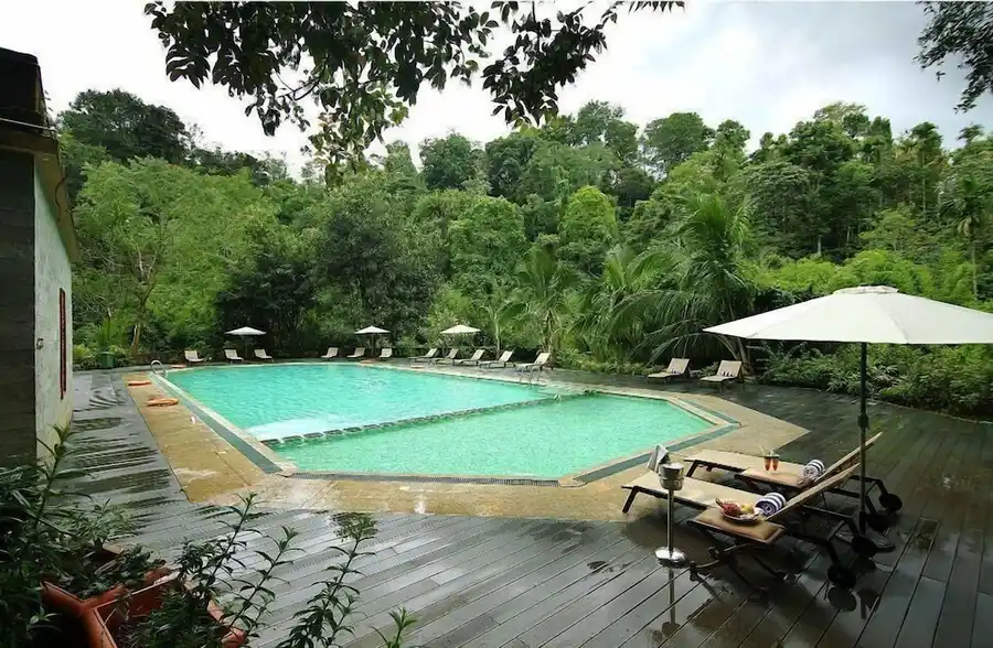 Vythiri Village Swimming Pool