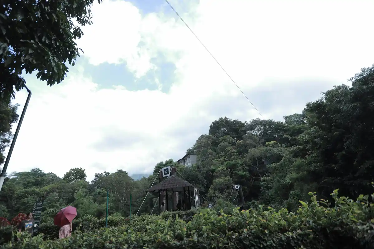 Vythiri Village Views