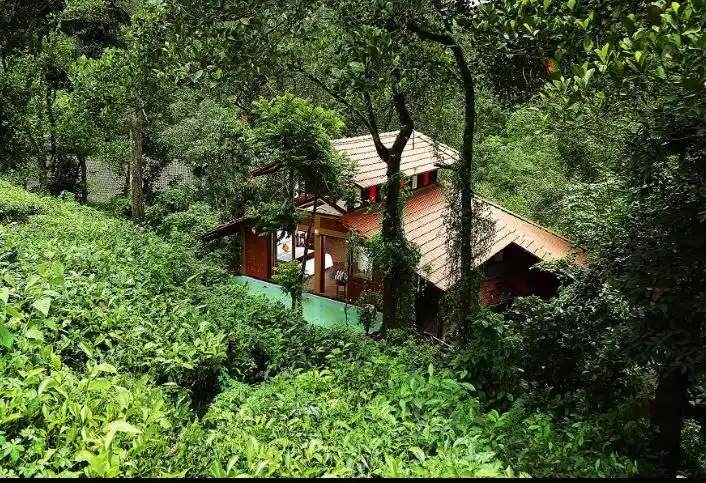Vythiri Village Others
