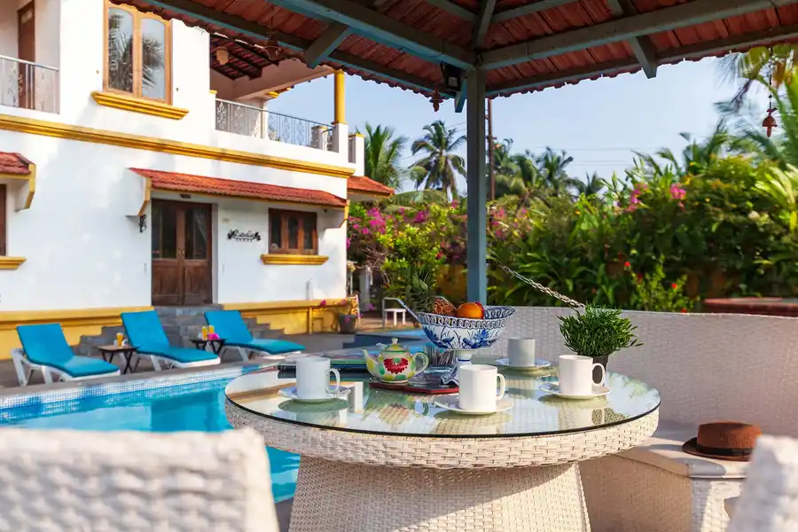 Waterlily - Parra, North Goa