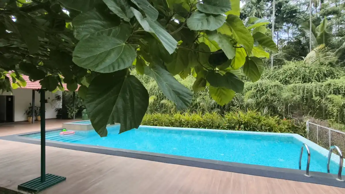 Wayanad Mace Mansion Swimming Pool
