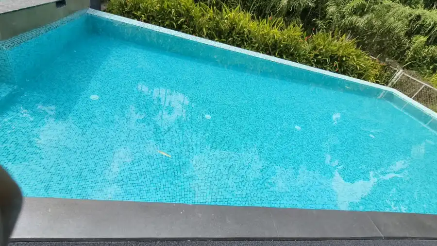 Wayanad Mace Mansion Swimming Pool