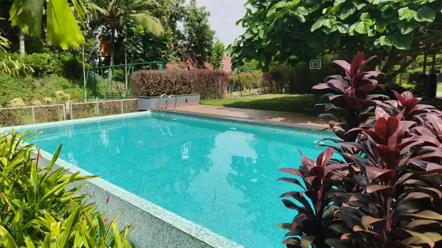 Wayanad Mace Mansion Swimming Pool