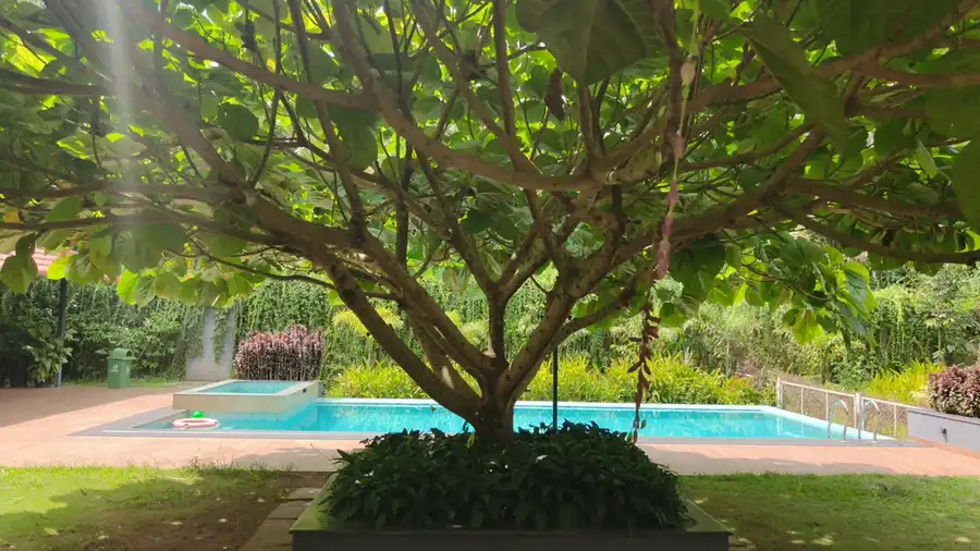 Wayanad Mace Mansion Swimming Pool