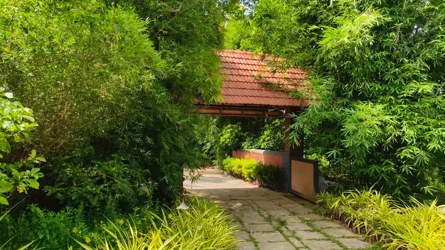 Wayanad Mace Mansion Entrance