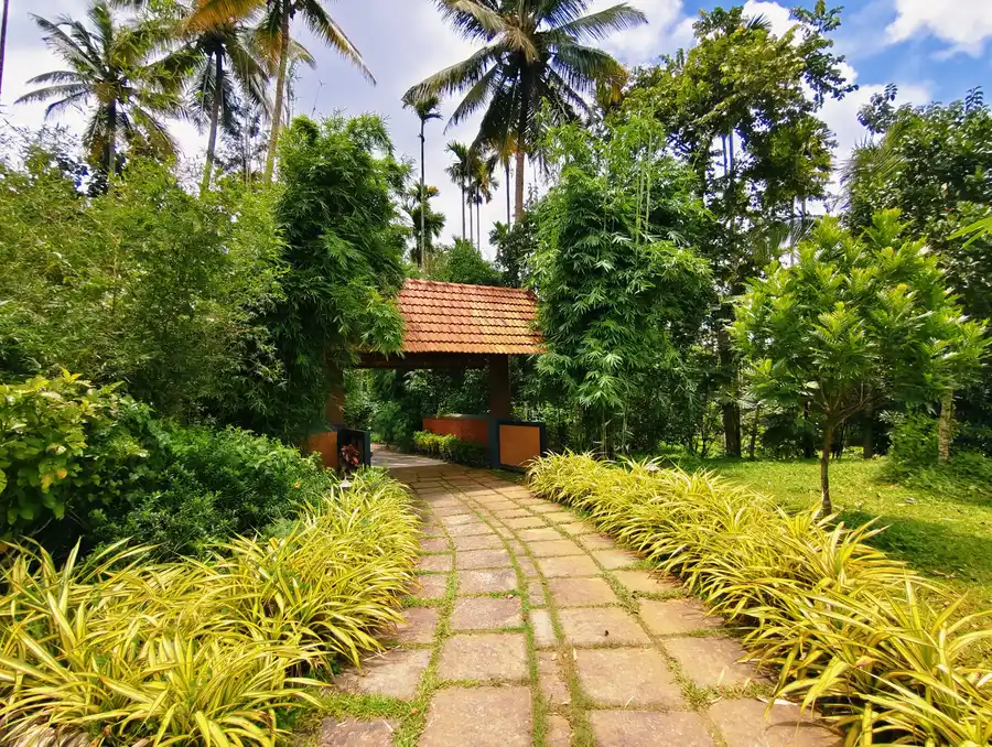 Wayanad Mace Mansion Views