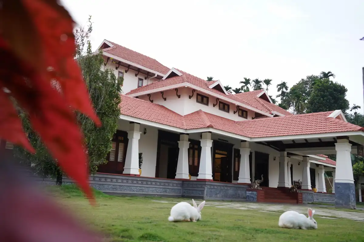 Wayanad Mace Mansion Views