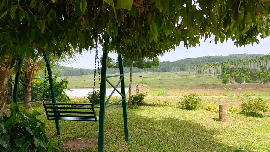 Wayanad Mace Mansion Views