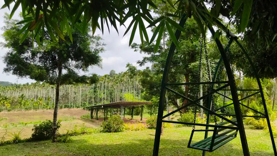 Wayanad Mace Mansion Garden