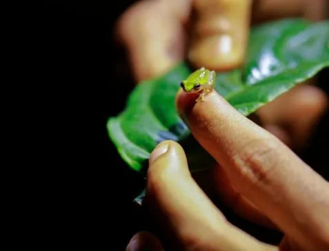 Wayanad Wild - A CGH Earth Experience Experiences