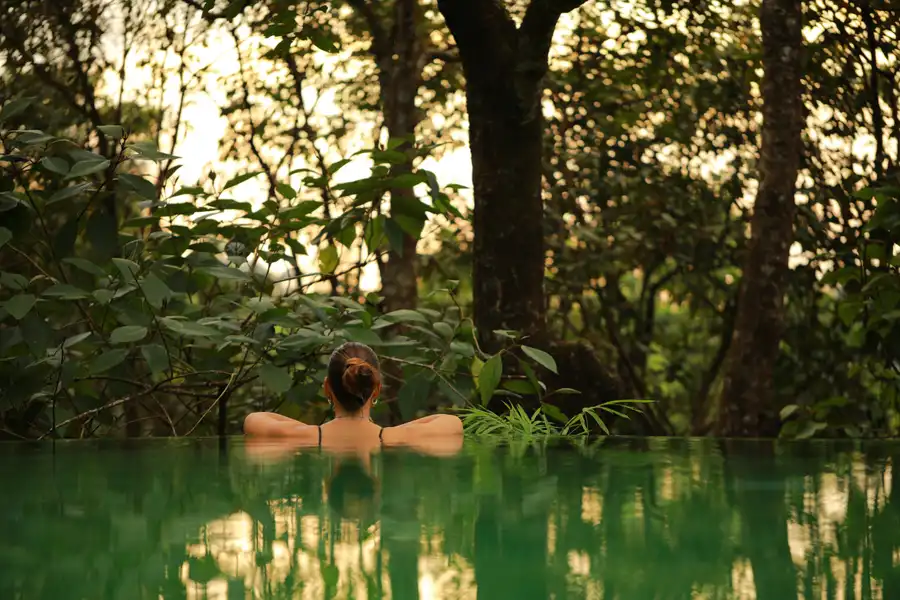 Wayanad Wild - A CGH Earth Experience Common Pool