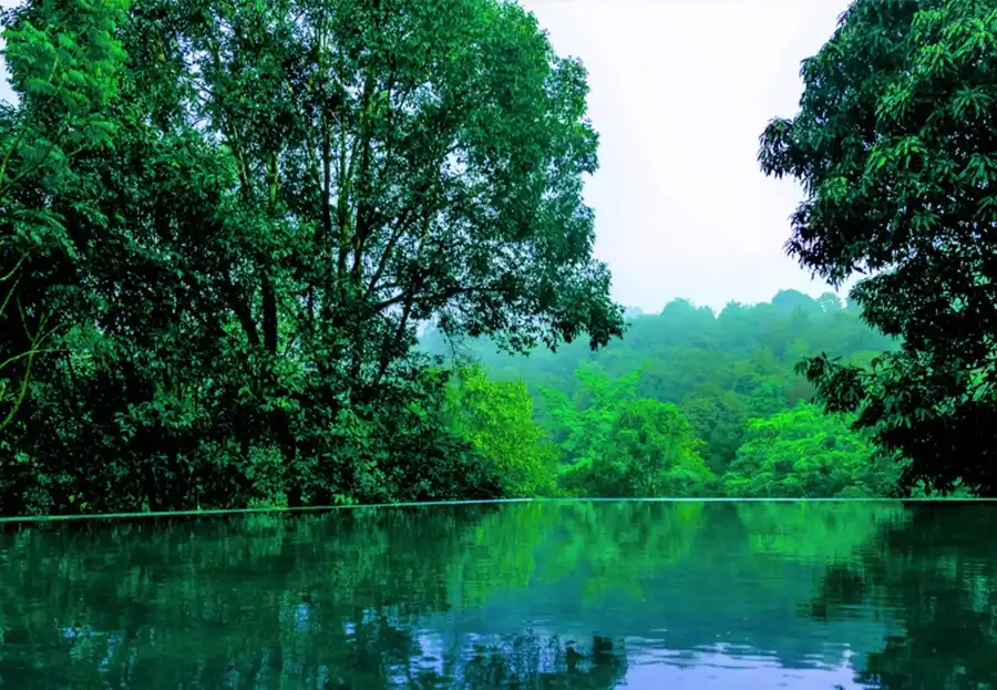 Wayanad Wild - A CGH Earth Experience Common Pool