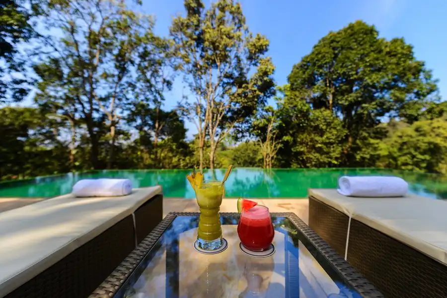 Wayanad Wild - A CGH Earth Experience Common Pool