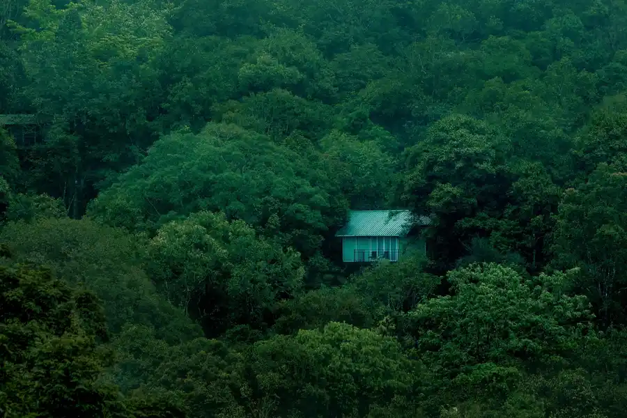 Wayanad Wild - A CGH Earth Experience Facade