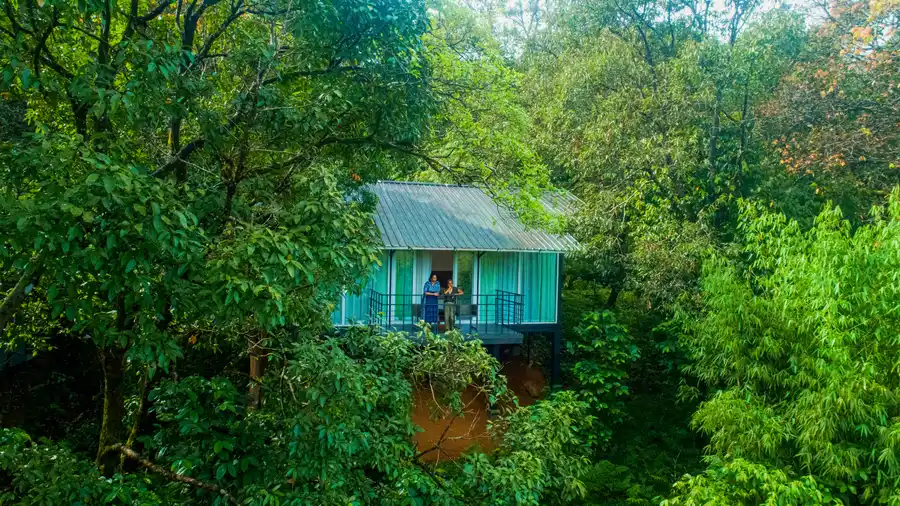 Wayanad Wild - A CGH Earth Experience Facade