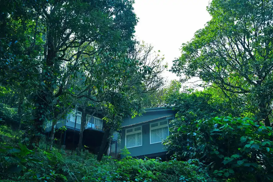 Wayanad Wild - A CGH Earth Experience Facade