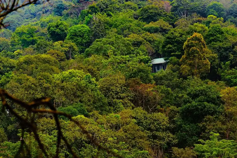 Wayanad Wild - A CGH Earth Experience Facade