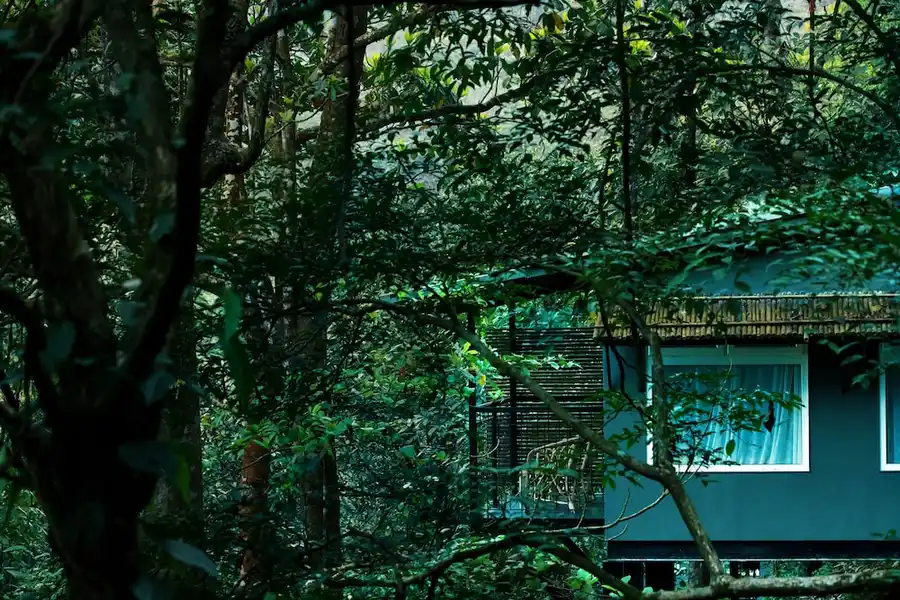 Wayanad Wild - A CGH Earth Experience Facade