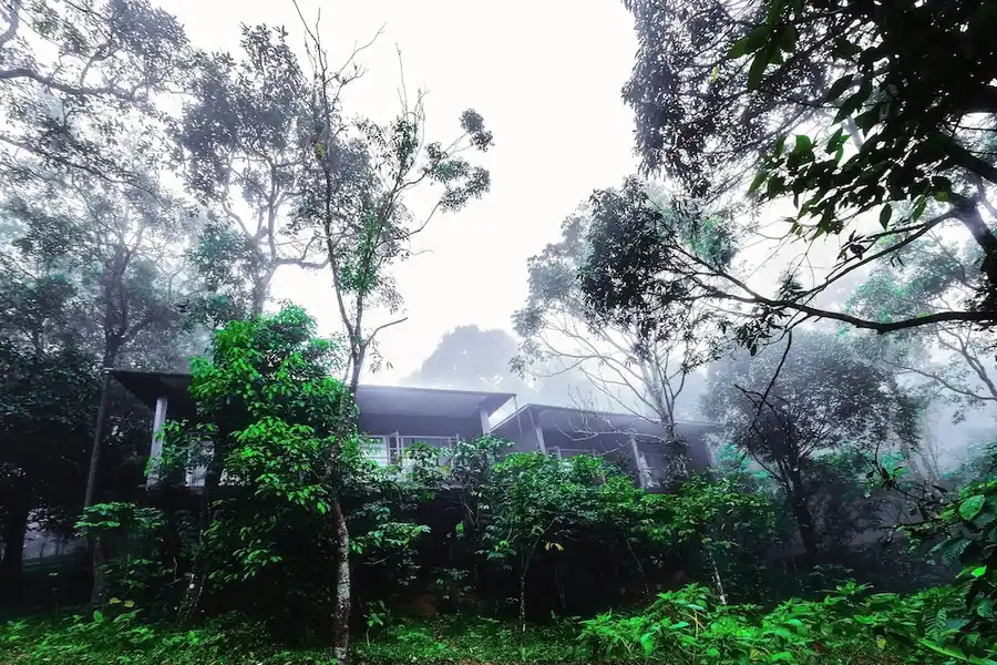 Wayanad Wild - A CGH Earth Experience Facade