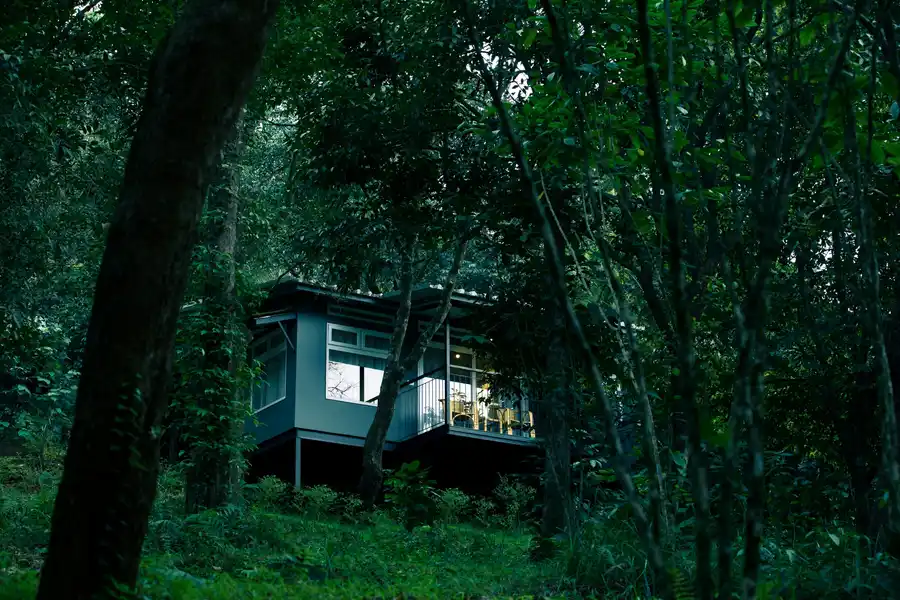 Wayanad Wild - A CGH Earth Experience Views