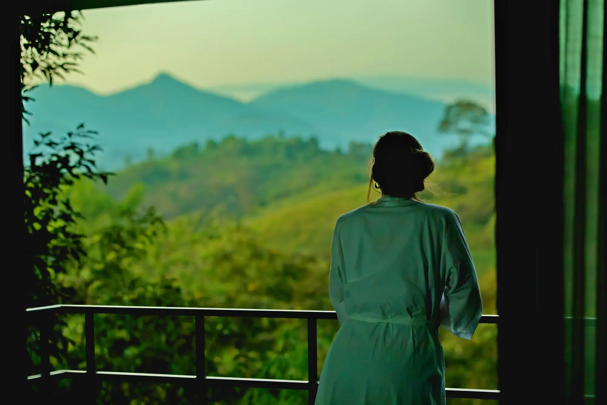 Wayanad Wild - A CGH Earth Experience Views