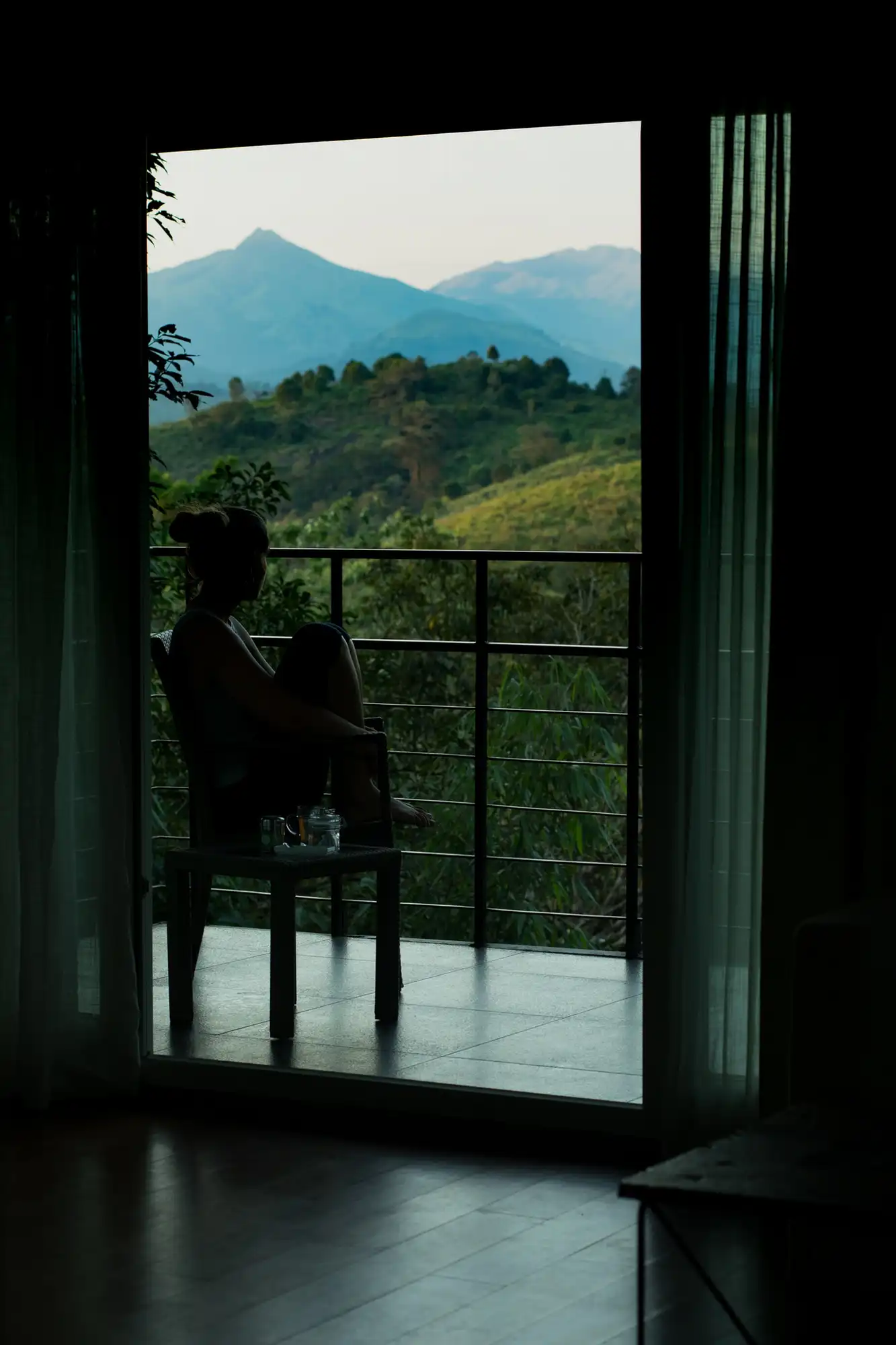 Wayanad Wild - A CGH Earth Experience Views