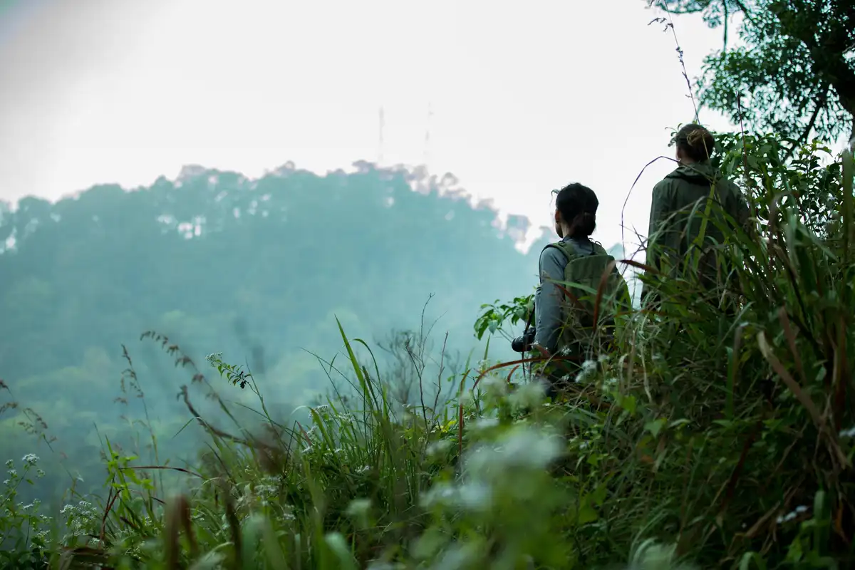 Wayanad Wild - A CGH Earth Experience Views