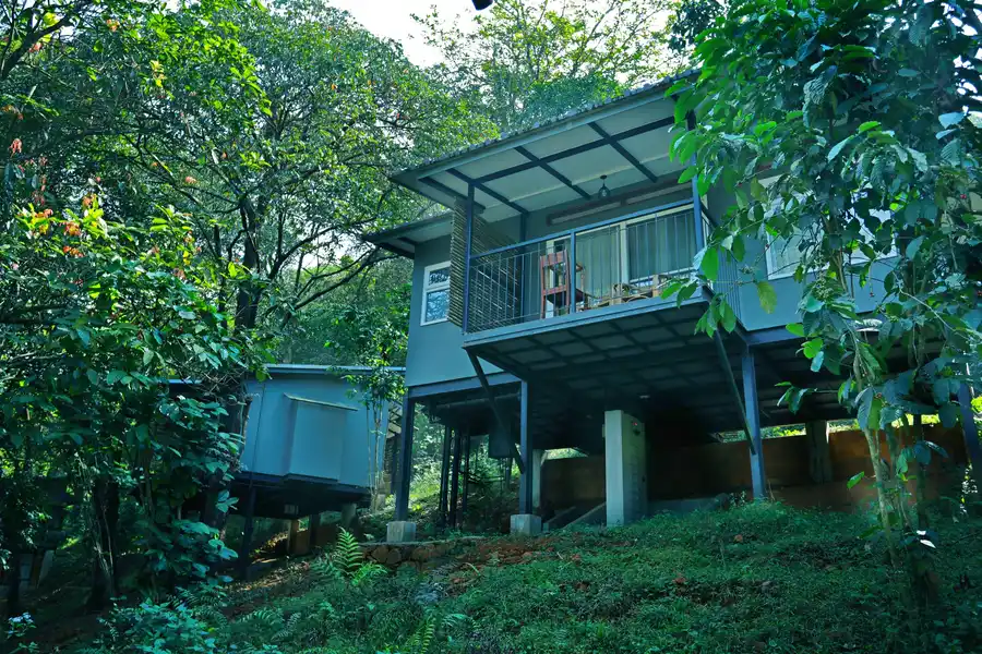 Wayanad Wild - A CGH Earth Experience Views
