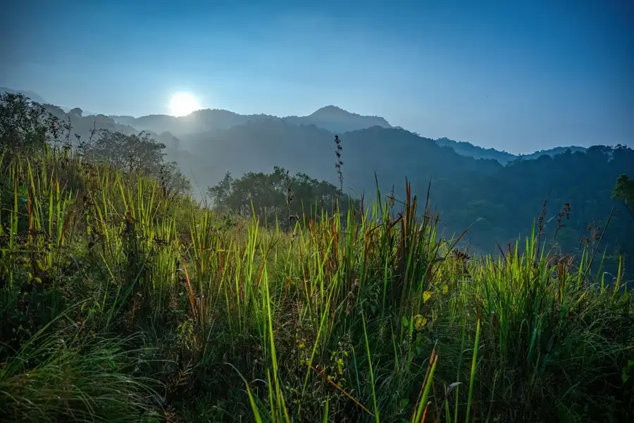 Wayanad Wild - A CGH Earth Experience Views