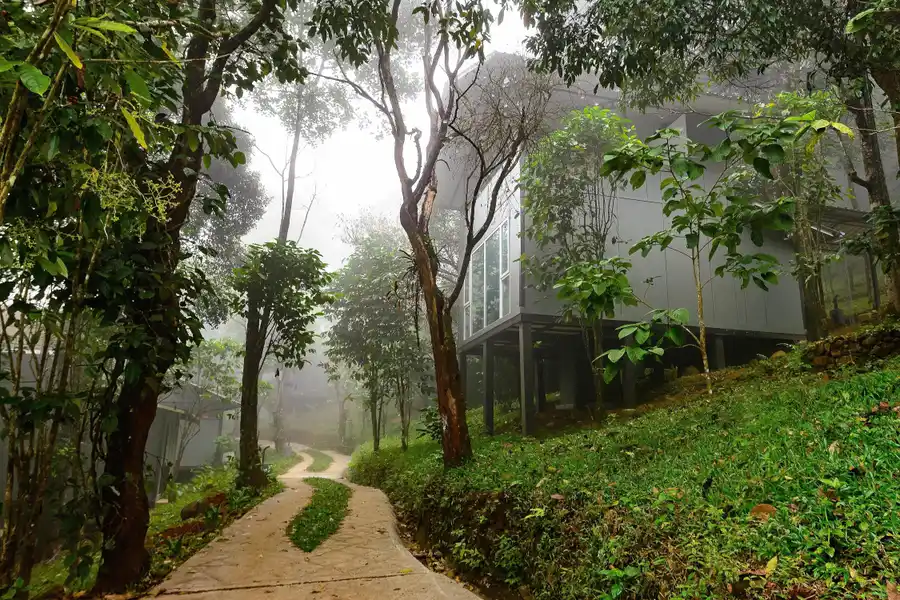 Wayanad Wild - A CGH Earth Experience Views