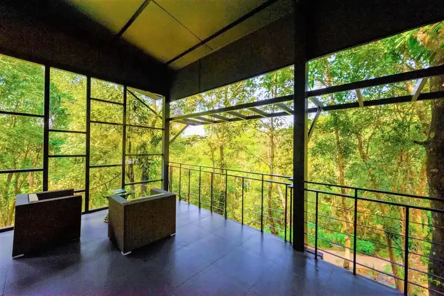 Wayanad Wild - A CGH Earth Experience Views