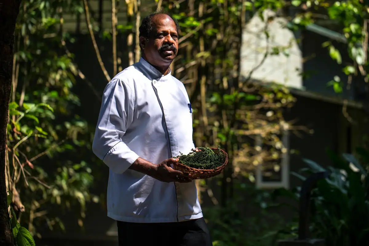 Wayanad Wild - A CGH Earth Experience Views
