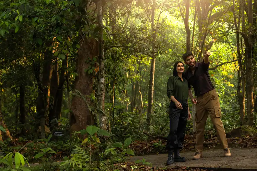 Wayanad Wild - A CGH Earth Experience Views