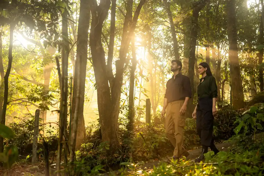 Wayanad Wild - A CGH Earth Experience Views