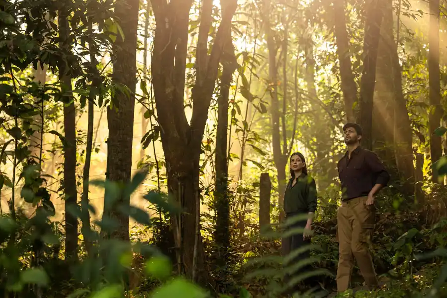 Wayanad Wild - A CGH Earth Experience Views