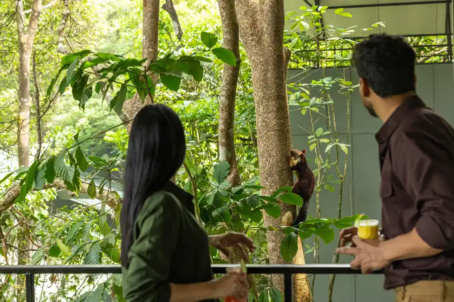 Wayanad Wild - A CGH Earth Experience Views