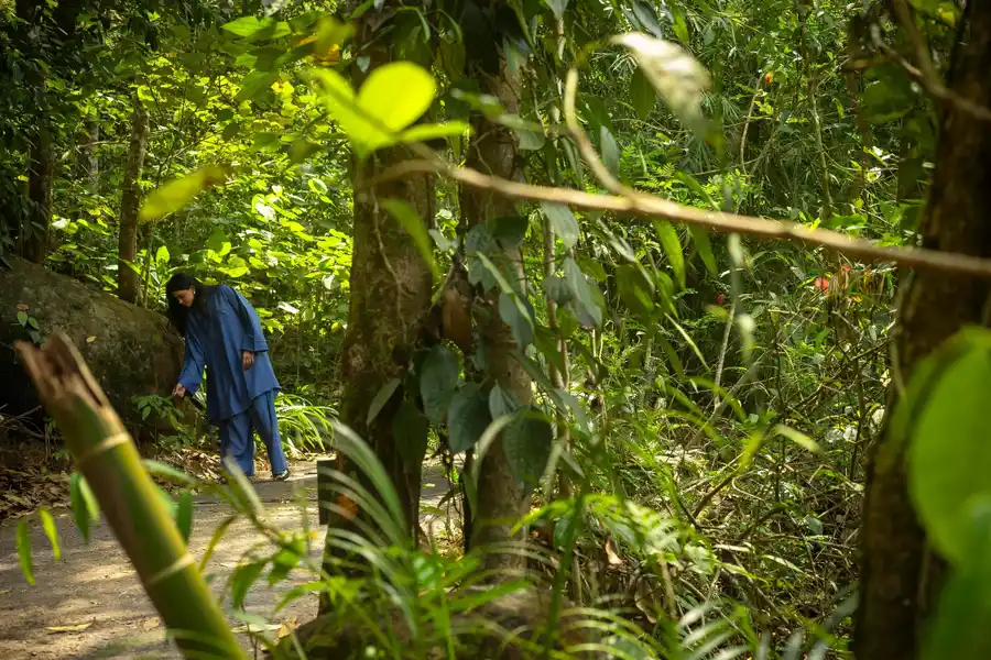 Wayanad Wild - A CGH Earth Experience Views