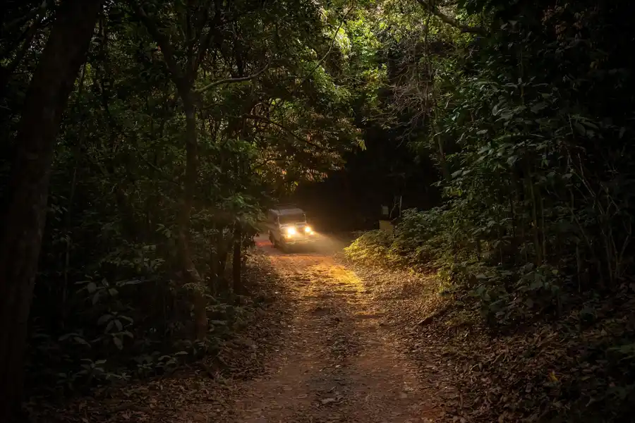 Wayanad Wild - A CGH Earth Experience Views