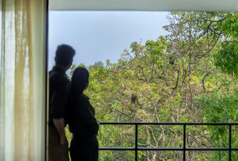 Wayanad Wild - A CGH Earth Experience Views